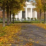 Velika inovacija pri sosedih: v prestolnici Avstrije po novem rastejo pametna drevesa