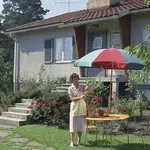 To starodavno rastlino zaščite in zdravja bi morala imeti vsaka hiša (je naravno zdravilo za številne težave)