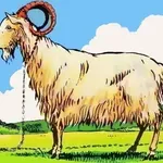 Ta slika ima napako, ki jo opazi le redkokdo: če ste jo našli v 5 sekundah, ste genij