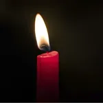 Umrl legendarni igralec, ki je zaslovel z vlogo v kultni grozljivki