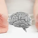 Znanstveniki opazovali človeške možgane in prišli do neverjetnega odkritja, ki je osupnilo vse