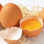 Kokoš znesla velikansko jajce: ko so ga odprli, niso mogli verjeti svojim očem