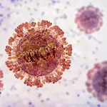 Nevaren virus tik ob naši meji: število težkih primerov se je podvojilo, razglasili izredne ukrepe!