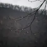 Vremenoslovci napovedali: tako dolgo bodo v tem tednu vztrajale padavine