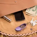 Če želite imeti denar, to odstranite iz torbice: ženske nezavedno hranijo stvari, ki privlačijo revščino