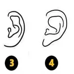 Kakšno obliko ušes imate? Test, ki razkriva vaše notranje bistvo