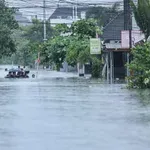 Grozljiv prizor na priljubljeni turistični destinaciji: sredi poplavljenih ulic plavala ogromna bitja (VIDEO)