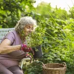 4 čudežne rastline: prinesite jih v svojo hišo in se za vedno znebite teh škodljivcev