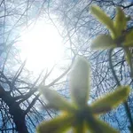 Znano je, kakšno bo vreme v drugi polovici tedna: v petek in soboto bo ...