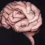 Kaj najprej vidite na sliki? Optična iluzija, ki razkrije, ali imate močno intuicijo