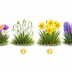 Katero spomladansko cvetlico bi izbrali? Test, ki pokaže vašo pravo osebnost