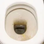 Tega ni pričakoval nihče: ko so odprli staro stranišče, so v njem našli nekaj osupljivega