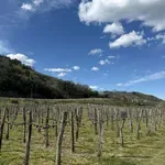 Na prvi pogled umirjena slovenska pokrajina v sebi skriva zgodbo, ki je spremenila tok evropske zgodovine