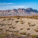 Sredi puščave stoji najbolj nenavadna trgovina na svetu: vanjo ne sme vstopiti nobena stranka