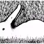 Kaj najprej opazite na sliki? Optična iluzija, ki razkriva, kako deluje vaš um