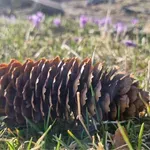 Znano je, kakšno vreme je pred nami: mnogi se bodo napovedi razveselili