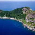 Turist se je odpravil na najnevarnejši otok na svetu: tam ga je čakalo 4000 strupenih kač