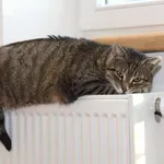 Preden se oglasijo radiatorji, naredite tole: vzelo vam bo nekaj minut, na koncu pa si boste zelo hvaležni (odpravili boste pogosto težavo)