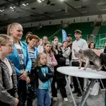 Bi si upali pobožati mačko brez dlake? Zdaj imate priložnost