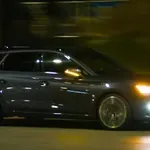 Voznik ob cesti opazil nekaj nenavadnega: ko je ustavil, ni mogel verjeti svojim očem