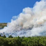Na Krasu izbruhnil večji požar, na terenu vse razpoložljive gasilske enote: "Razmere so resne, aktivirane so obsežne sile ... "