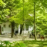 Oaza miru v Ljubljani: skriti čajni kotiček, kjer si lahko končno malo oddahnemo od vročine in naglice