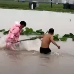 Kot iz nočne more: pobegle strupenjače zavzele celotno mesto, domačini trepetajo za svoje življenje (VIDEO)