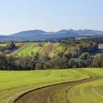 Arheologi so na polju ne tako daleč od Slovenije naleteli na prelomno odkritje: "Presegli smo naša pričakovanja." Pod zemljo jih čaka še nekaj izjemnega
