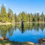 Turiste so v popotniški skupini vprašali, katero manj znano slovensko jezero jih je najbolj navdušilo. Več kot očitno imajo favorita