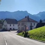 Turist navdušen nad dogajanjem v naši alpski vasici: lepo je vse to videti, če le lahko, pojdite tja!