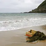Nenavaden prizor na priljubljeni plaži: domačini so obstali od groze, odgovora za zdaj nima nihče