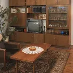 V Jugoslaviji ga je imelo skoraj vsako stanovanje, danes pa je ta predmet vreden celo bogastvo