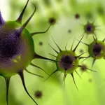 Moški se je vkrcal na letalo, niti sanjalo se mu ni, da prenaša smrtonosni virus - zdaj mrzlično iščejo vse potnike, po vsej državi vlada panika!