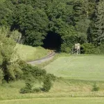 Osupljiv prizor sredi travnika: fotografu po več letih uspelo ujeti izjemno redko žival (FOTO)