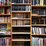 Novosađanka pisala gradonačelniku o besplatnim udžbenicima: „Da se ne pretvori u pospešivanje monopola i korupcije“