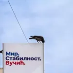 SNS u Novom Sadu postavila štandove, građani donosili kisele krastavce