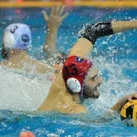 Novi Beograd protiv Ferencvaroša u finalu vaterpolo Lige šampiona