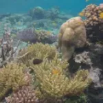 Zemlja je upravo prešla prvu klimatsku prekretnicu. Šta dalje?