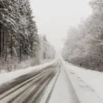 Vanredna situacija i u Majdanpeku zbog problema izazvanih snegom