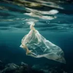 Da li mikroplastika zaista tako pogubno utiče na ljudsko telo?