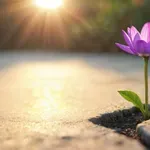 Može li rezilijentnost da poboljša vaše zdravlje?