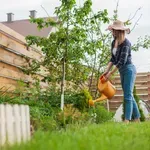 Korak po korak do dvorišta iz snova uz pametno planiranje prolećnih radova