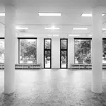 Izložbom „Aleksandar Zograf – 40 godina od objavljivanja stripova“ započinje program obeležavanja pola veka Galerije savremene umetnosti u Pančevu