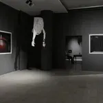 Beogradski irski festival otvara kolektivna izložba regionalnih umetnika „Opsada u sobi“ inspirisana delom Semjuela Beketa