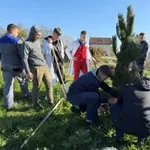 Pet škola, 620 učenika i kilometar polinatorskih traka: Završen projekat „Zajedno pčelama na dar“