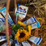 Nestlé objavio finansijske rezultate za prvi kvartal 2026: Nastavak rasta u većini zona i kategorija