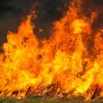 Požar zahvatio pravoslavnu crkvu u Botošu kod Zrenjanina