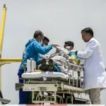 Čudesna priča o preživljavanju na Everestu: Vodič pronađen živ nakon 7 dana od nestanka