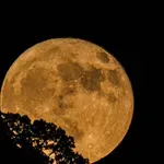 NASA radi na realizaciji programa izgradnje baze na Mesecu vredne 30 milijardi dolara