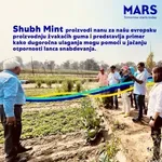 Volite žvakaće gume sa ukusom mentola? Njihova proizvodnja zavisi od jednog dela Indije